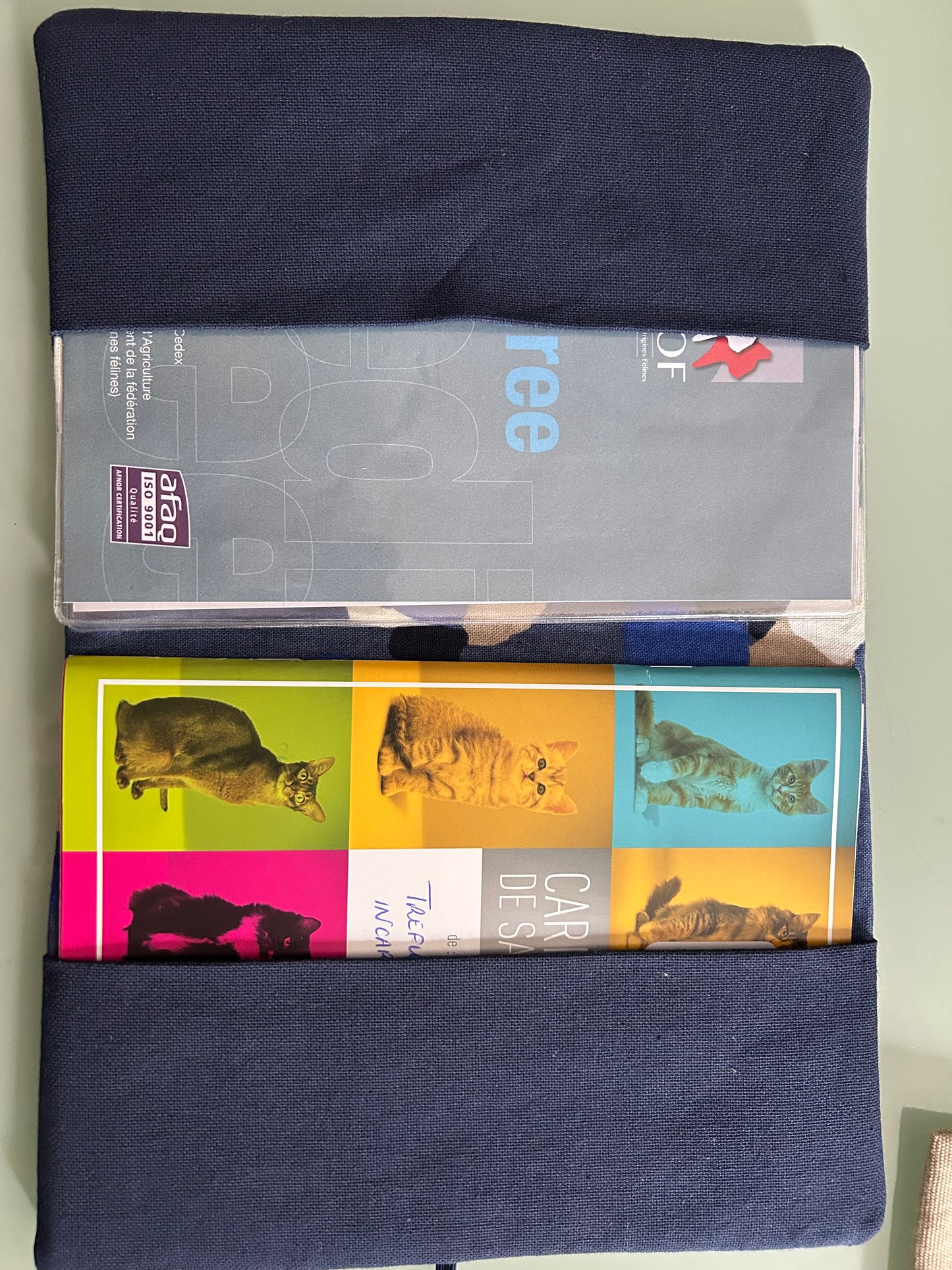 ⭐️ Protège-carnet de santé 💙