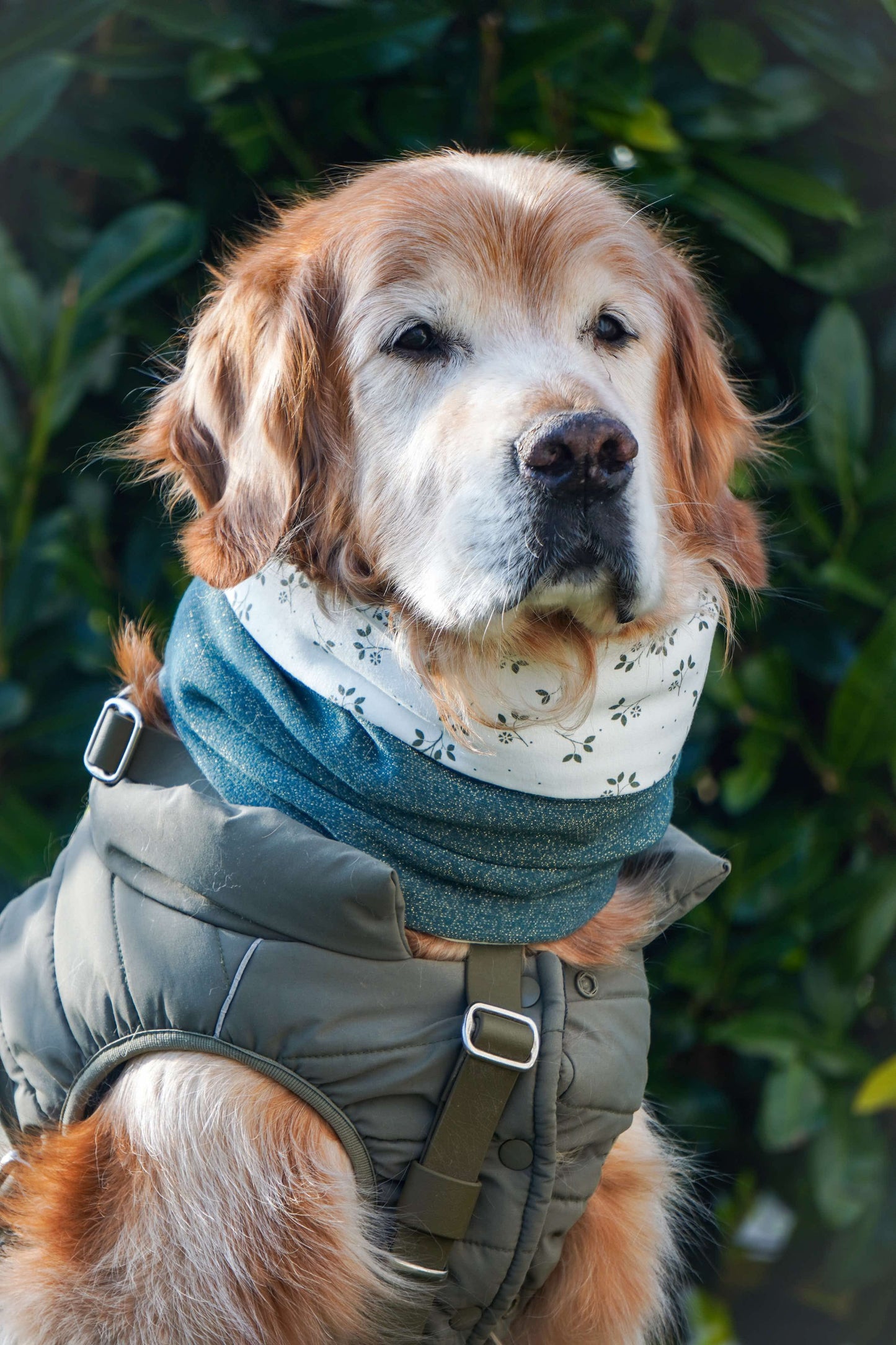 ⭐️ NOUVEAUTÉ Snood modèle Gordon