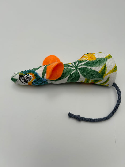 ⭐️ Rattus modèle Rio