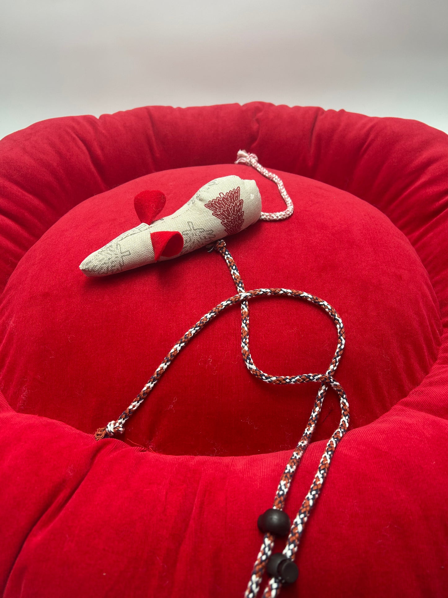 ⭐️ Rattus de Noël 🎅🏻🎄☃️🎁🐈‍⬛🐈❤️