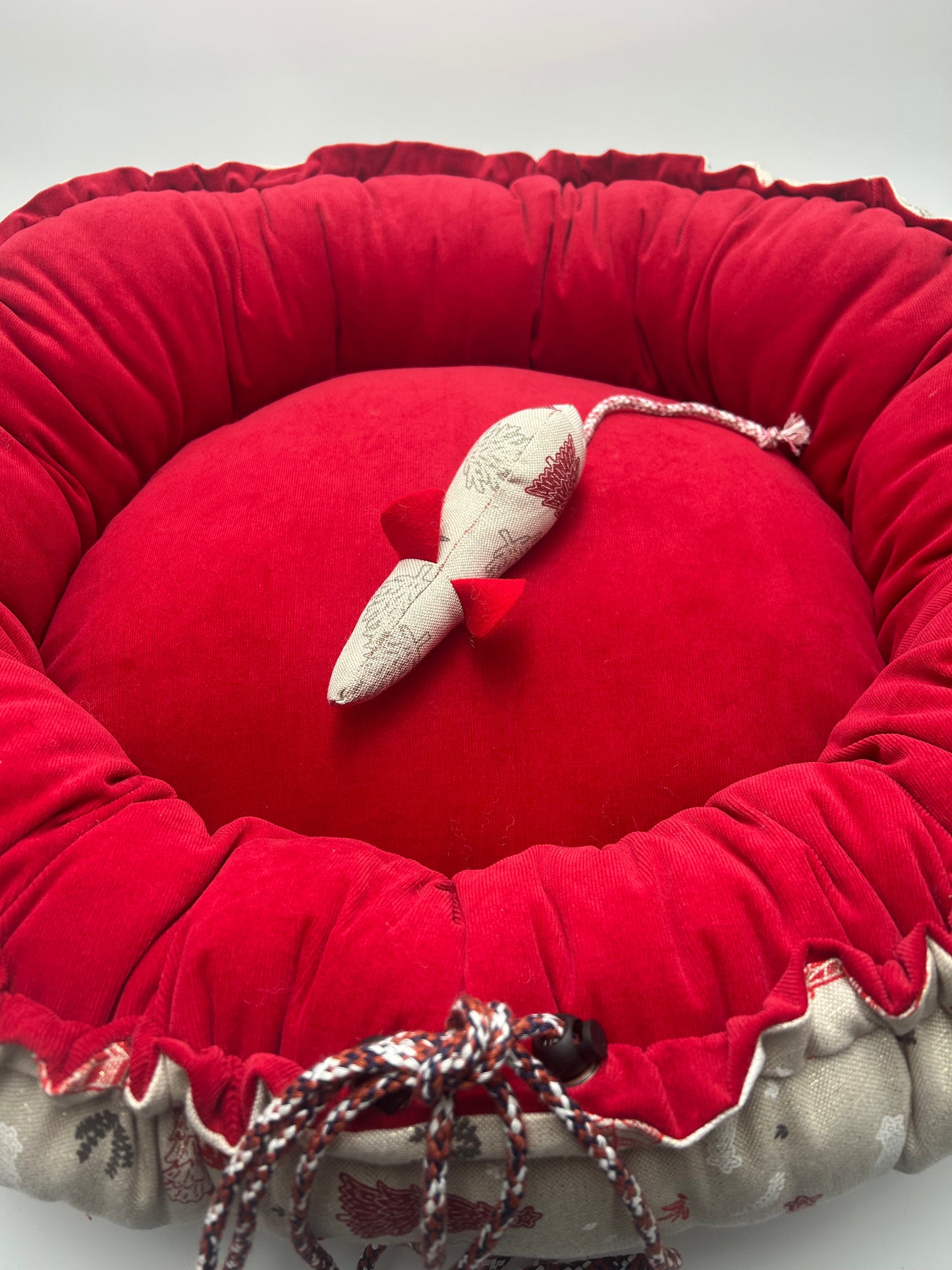 ⭐️ Rattus de Noël 🎅🏻🎄☃️🎁🐈‍⬛🐈❤️